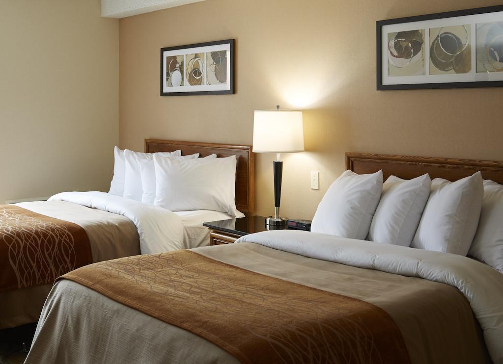 Comfort Inn Moncton East Exterior foto
